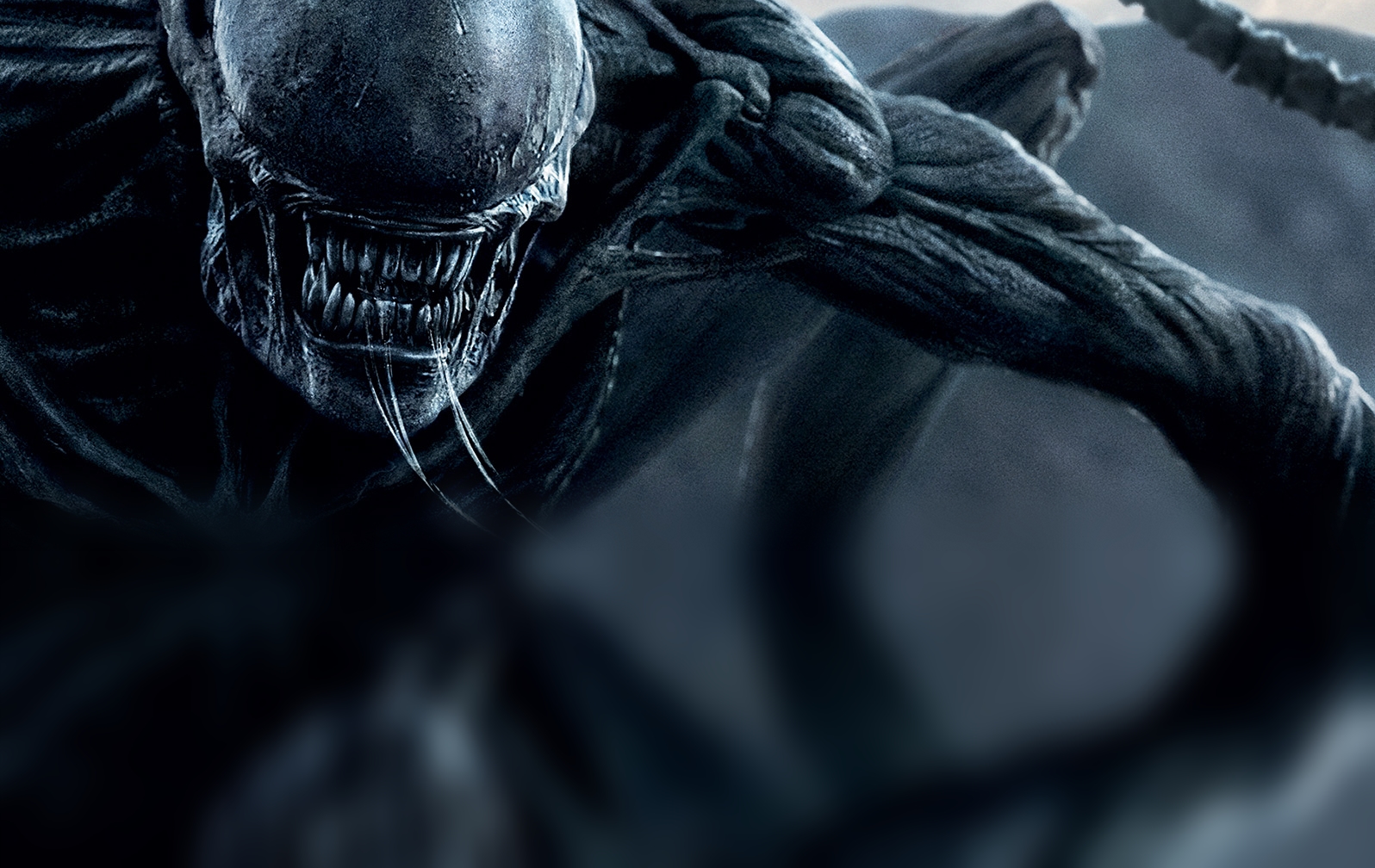 عنوان Alien: Blackout برای گوشی‌های هوشمند معرفی شد