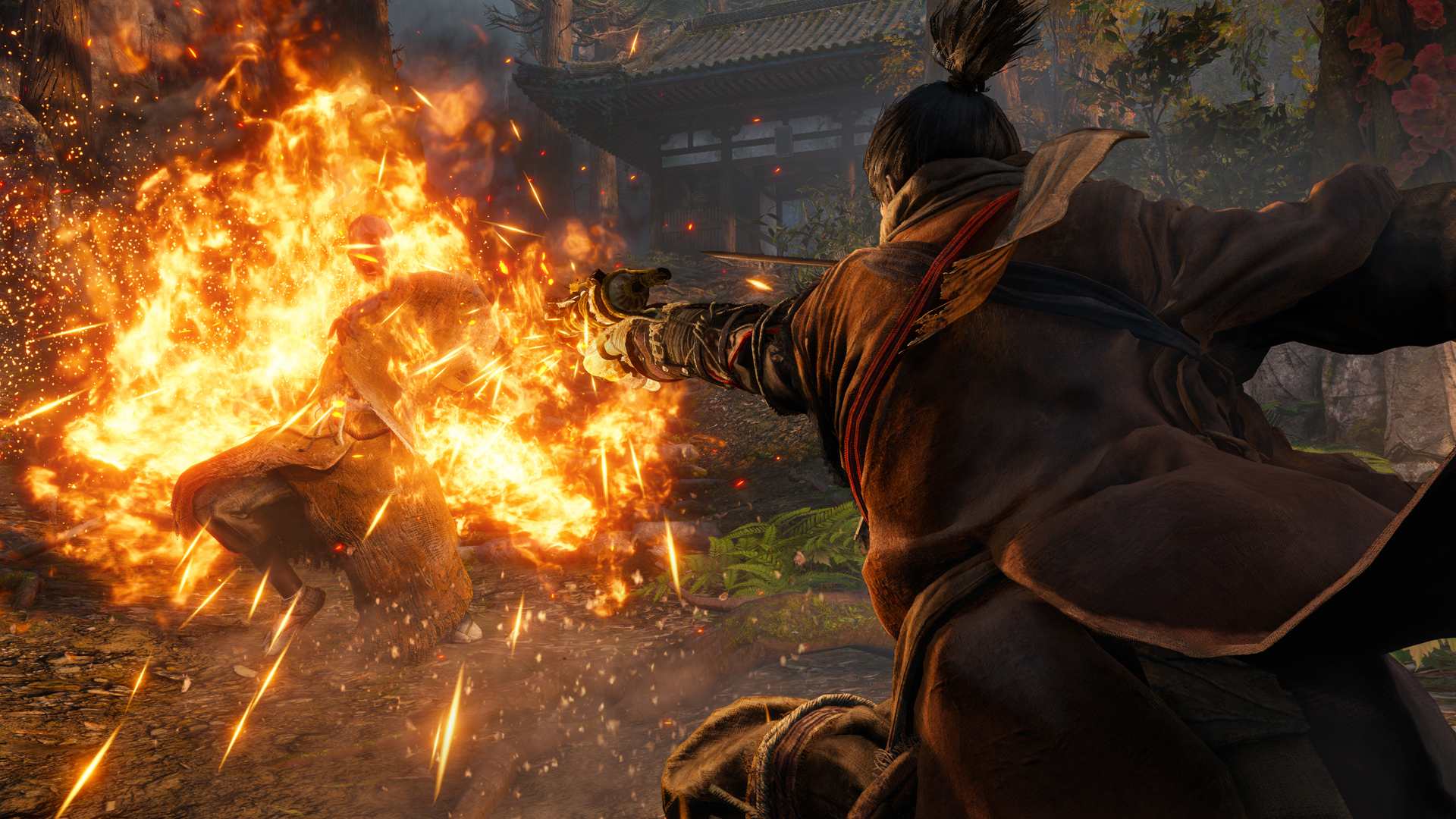 Sekiro: Shadows Die Twice