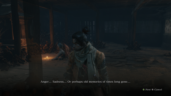 Sekiro B Review 2